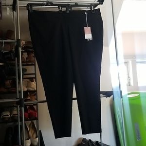 Lane Bryant dress pants. The Allie.